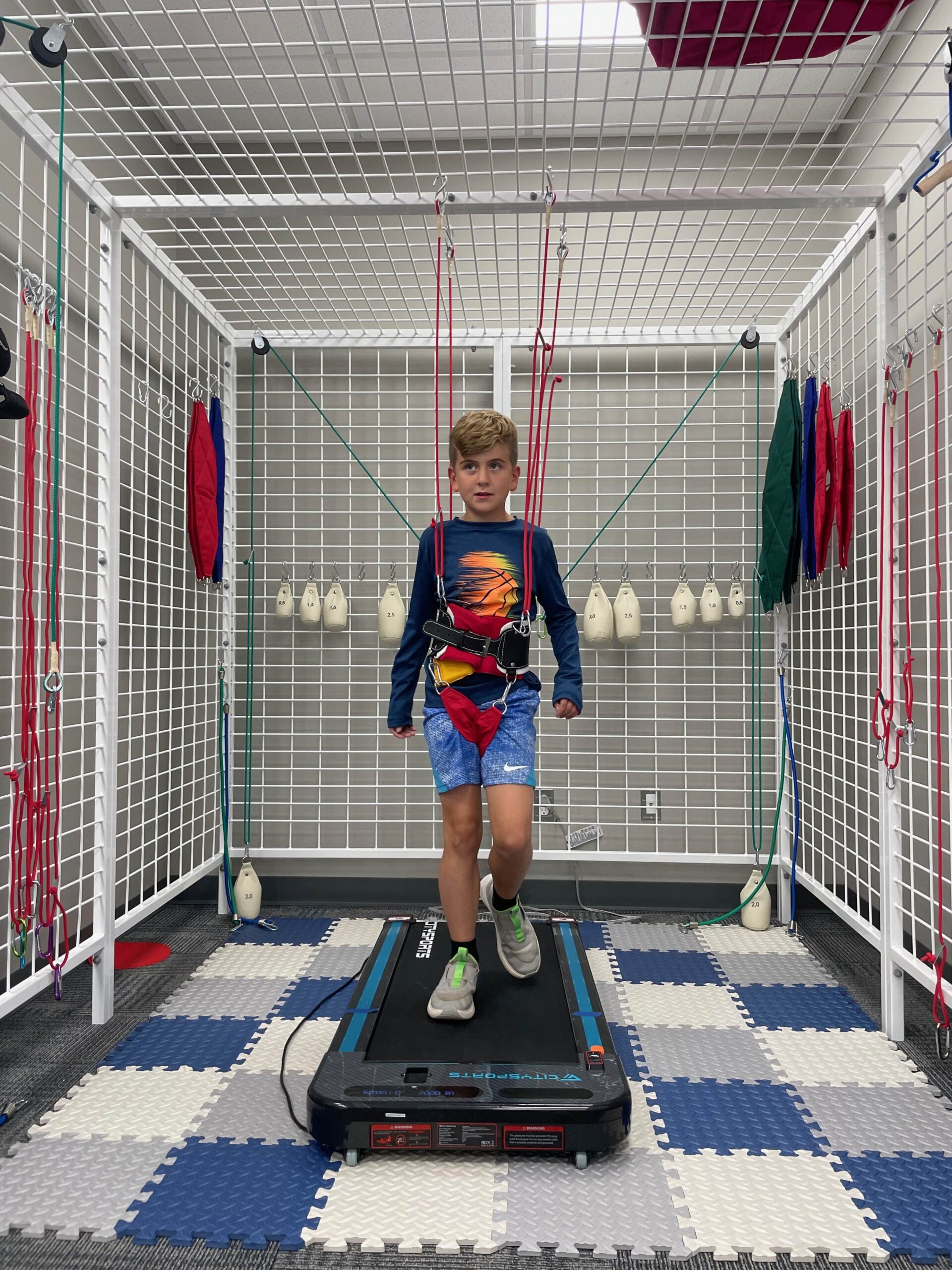 What is a Universal Exercise Unit (UEU)? Edmond, OK Let’s Grow